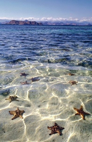 Grand Cayman, Cayman Islands