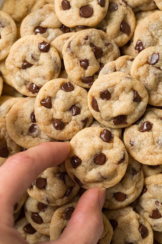 Chocolate Chip Cookie Bites