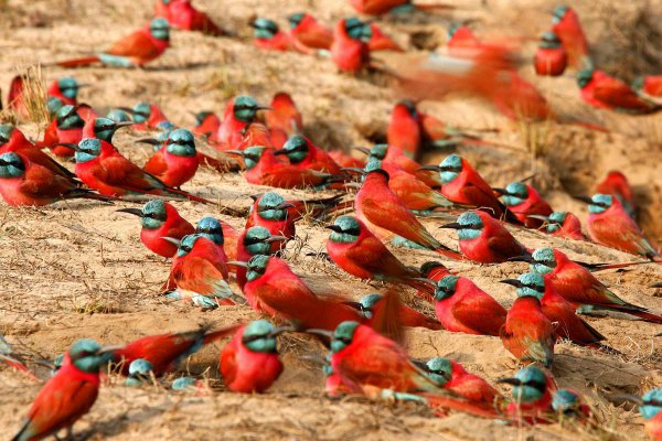 Garamba National Park, Democratic Republic of the Congo