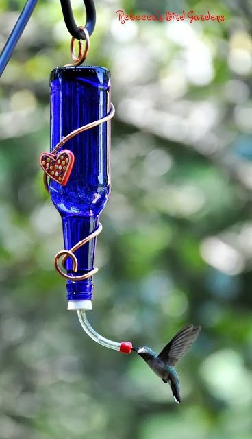 DIY Fruit and Hummingbird Feeders