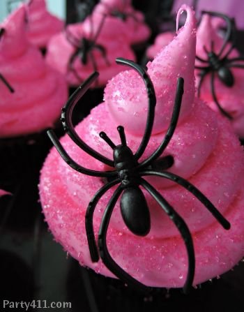 Black Spider against Bright Pink