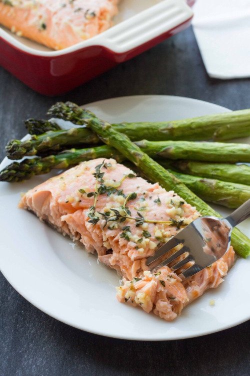 Salmon