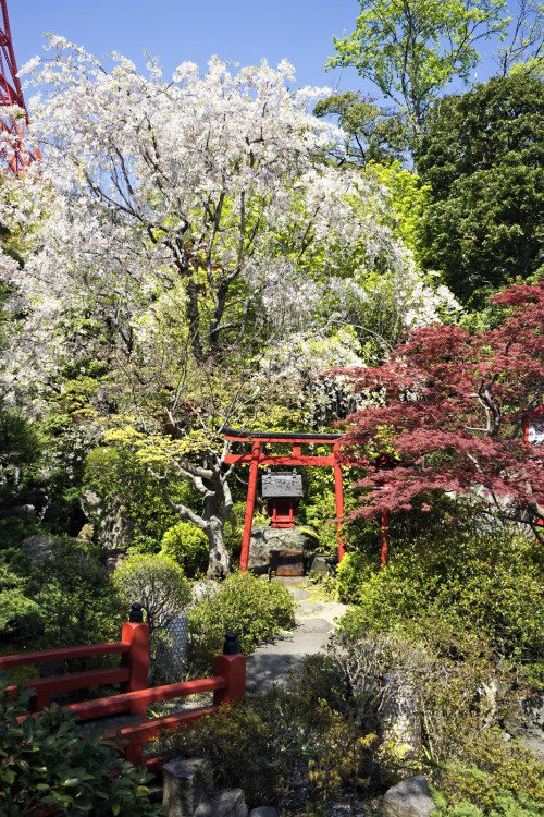 Meditate in a Zen Garden in Tokyo (after You’ve Worn Your Feet out Shopping)