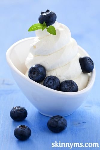 Creamy Vanilla Frozen Yogurt