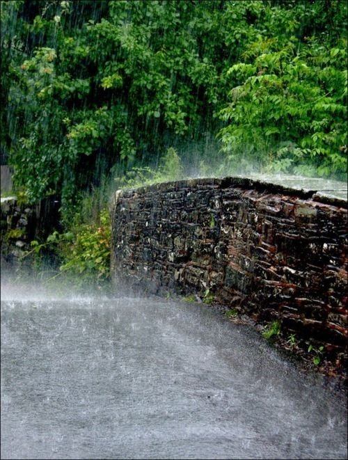 Rain on the Bridge