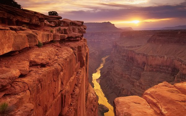 Arizona