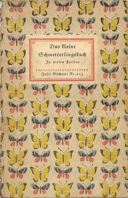 The Little Butterfly Book