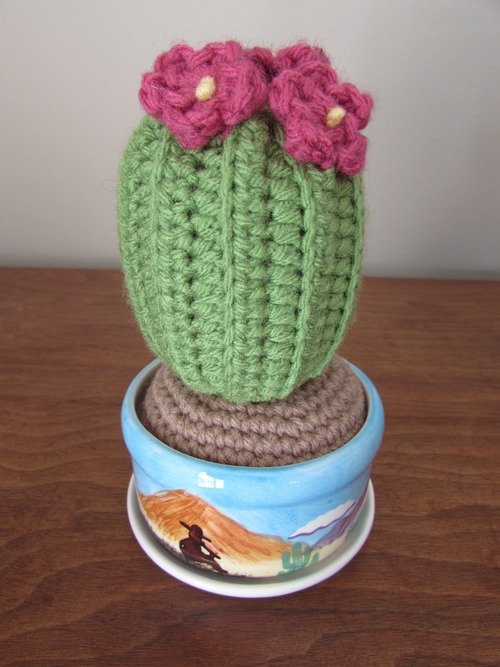 Knit a Cactus