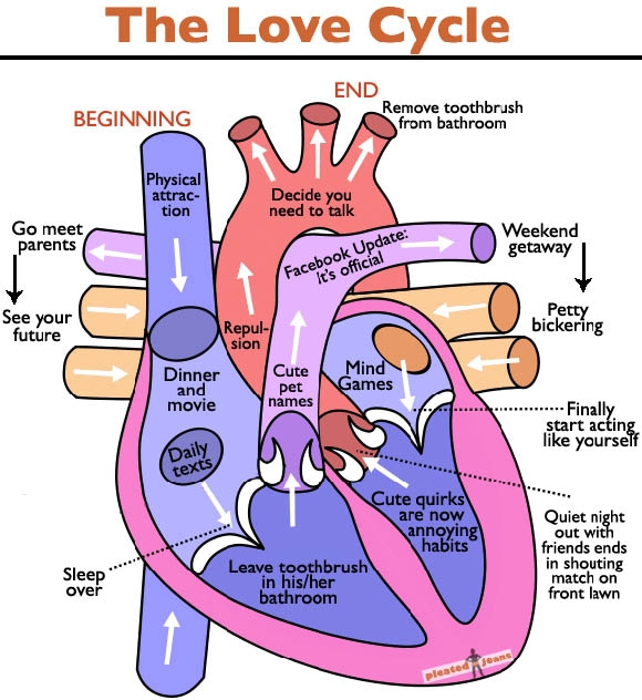 The Cycle of Love