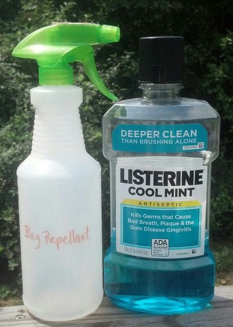 Use Listerine as a Mosquito and Fly Repellant