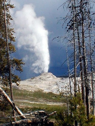 Gawk at a Geyser in Yellowstone National Park, USA