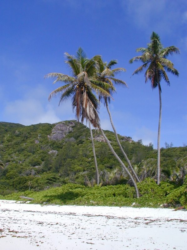 Anse Coco Beach, La Digue Island, Seychelles