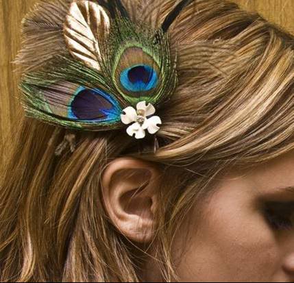 Peacock Hair Clip