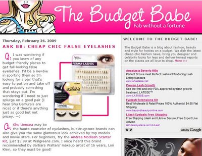 The Budget Babe by Dianna Baros