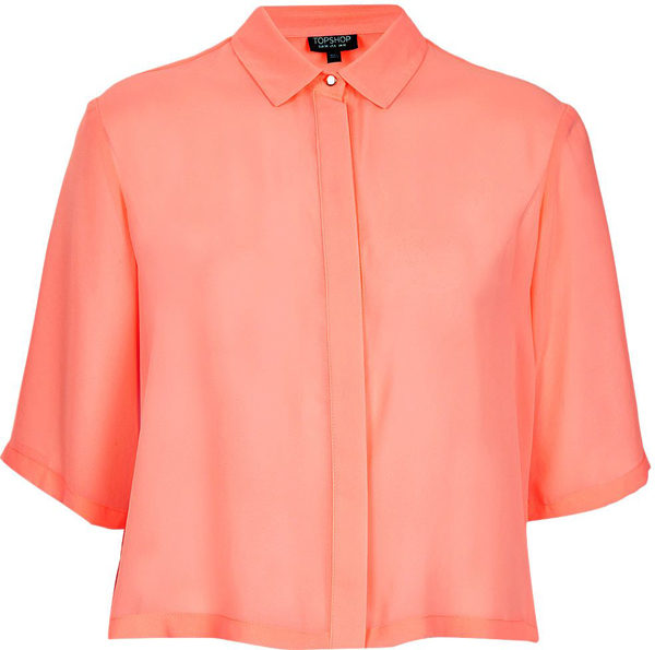 Cropped Pleat Back Shirt