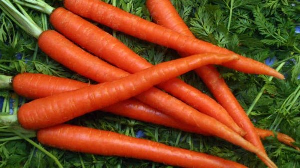 Carrots