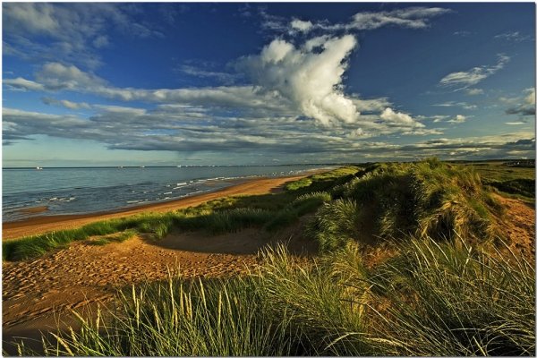 Balmedie Beach