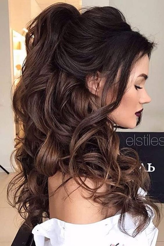 hair, human hair color, hairstyle, long hair, brown hair,