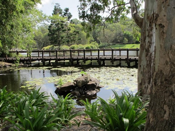 Smell the Roses at Gold Coast Regional Botanic Gardens