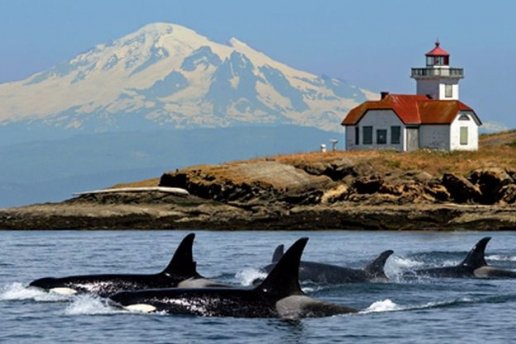 San Juan Islands, Washington