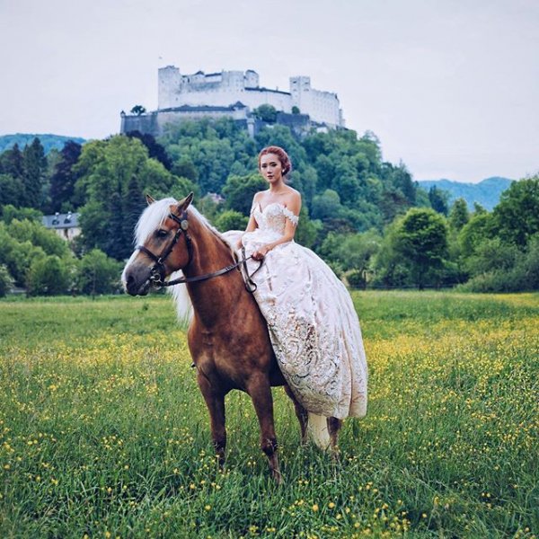 horse, mare, pasture, grassland, stallion,