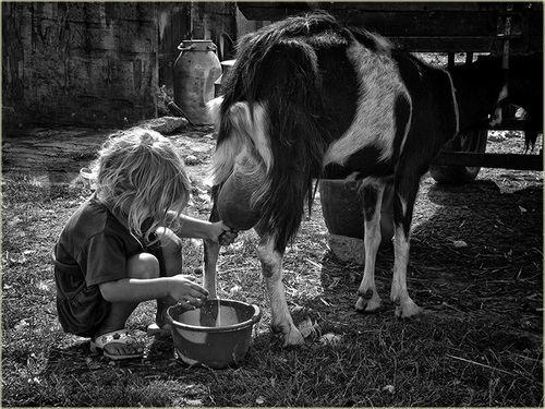 Question: How Can You Delay Milk Turning Sour?