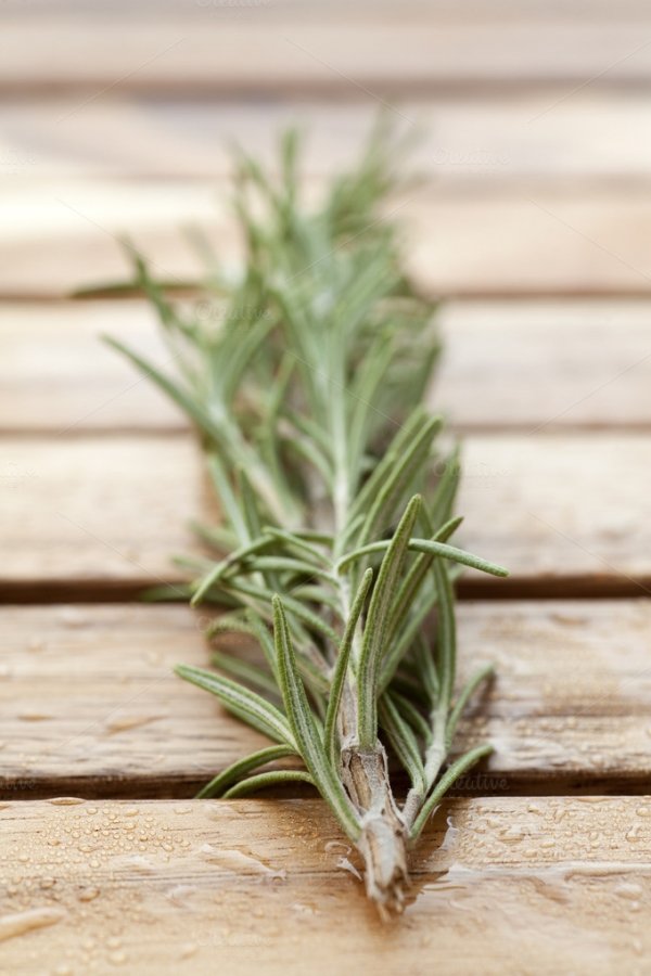 Rosemary