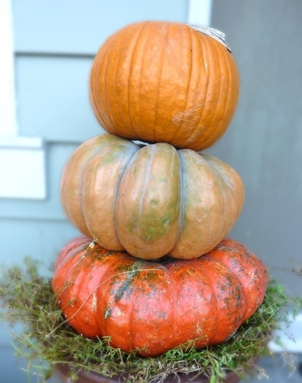 Cinderella Pumpkins