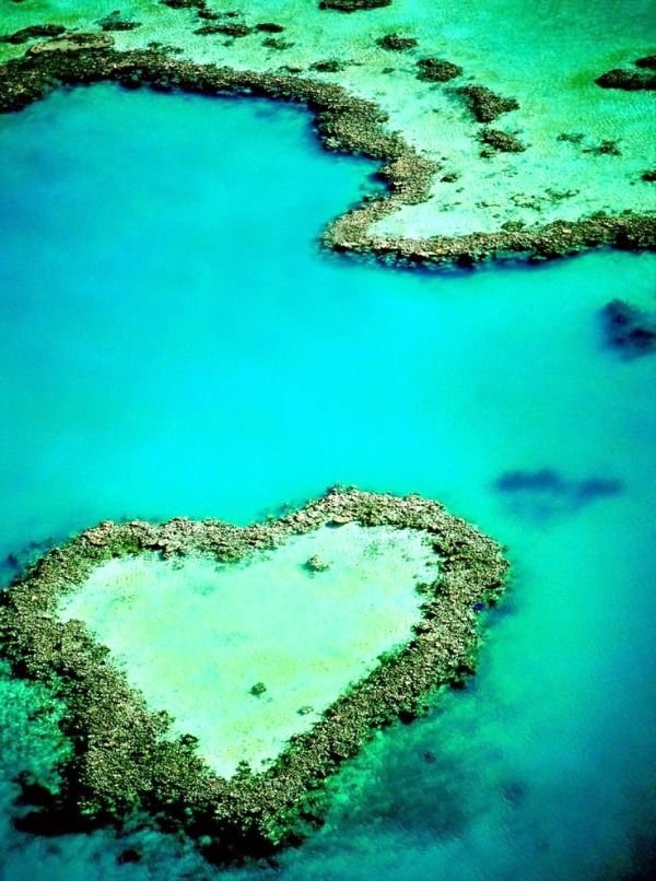 Heart Reef in the Great Barrier Reef