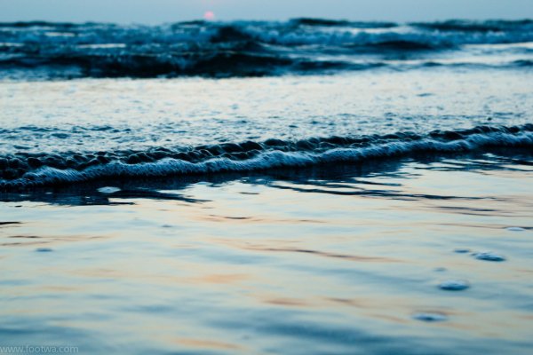 Morjim Beach, Goa