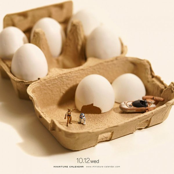 egg, food, product, produce,