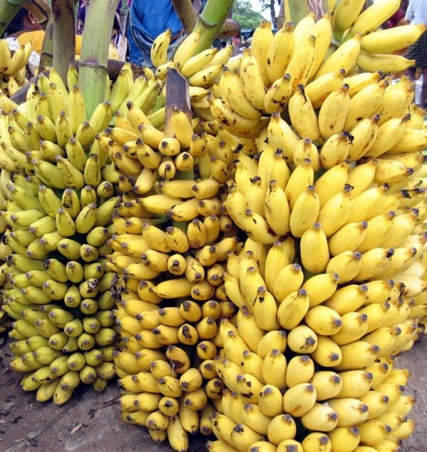 Bananas