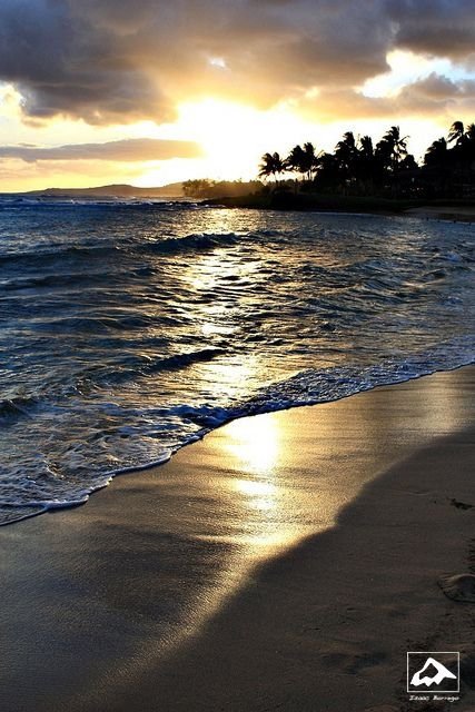 Poipu Beach South Shore, Kaua'i