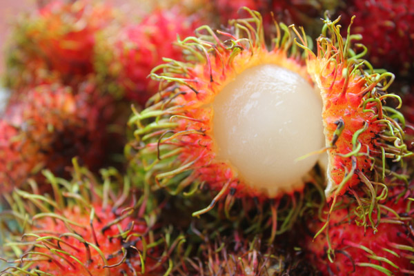 Rambutan