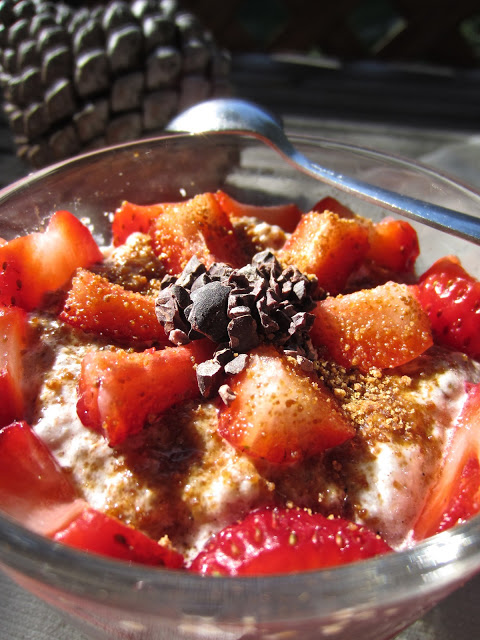 Chia Porridge