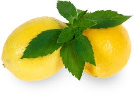 Lemon Mint