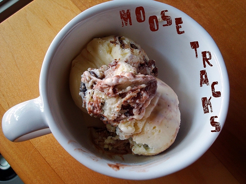 Moose Tracks Ice Cream