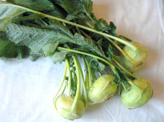 Kohlrabi