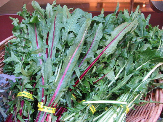 Dandelion Greens