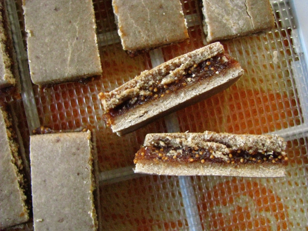 Raw Fig Bars