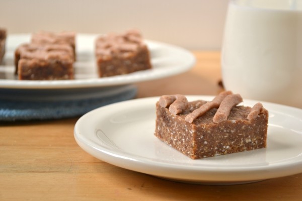 Raw Oatmeal Raisin Cookie Dough Bars