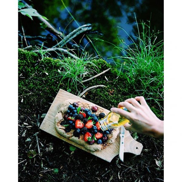 plant, grass, leaf, flower, lawn,