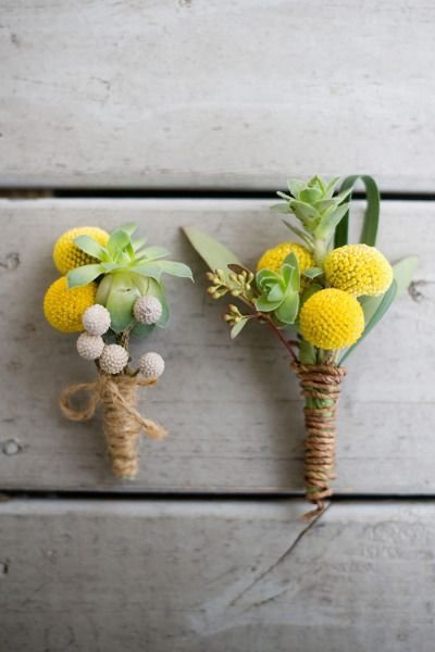 yellow,flower arranging,flower,green,plant,