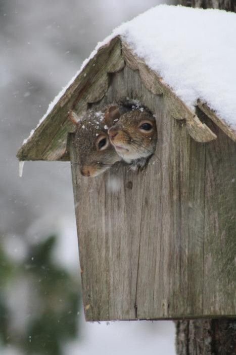 "I Think We'll Stay Indoors Today"