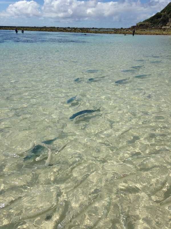 Ned’s Beach, Lord Howe Island