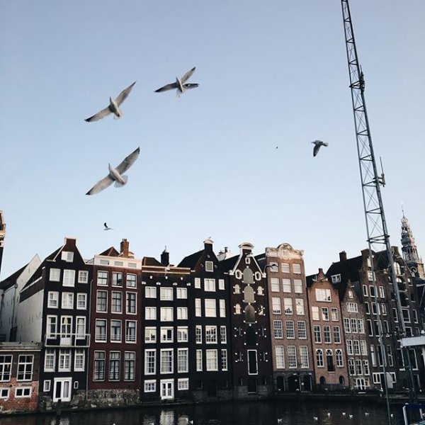 Amsterdam, Amsterdam, Amsterdam, vehicle, cityscape,