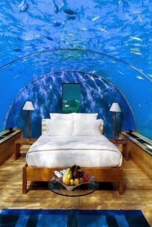 The Underwater Suite at the - Conrad Maldives Rangali Island