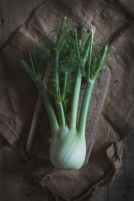 Fennel