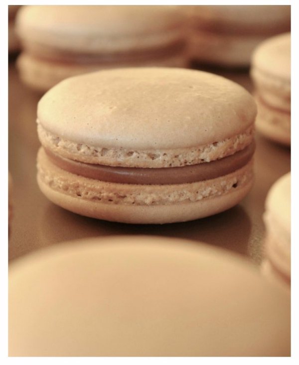 macaroon, baking, product design, flavor,