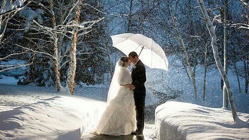 snow, winter, tree, freezing, wedding,